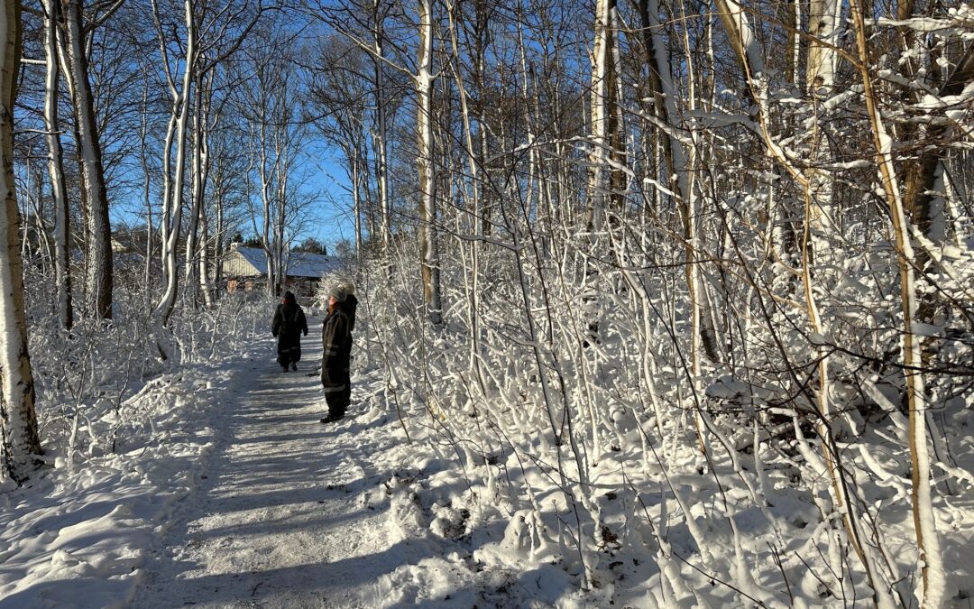 Som matchende pingviser vandrer vi i stilhed, omfavnet af sneens hvide dyne …
