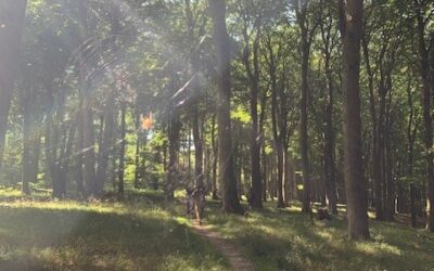 Vi har brug for alle hjerner – også de neurodivergente!